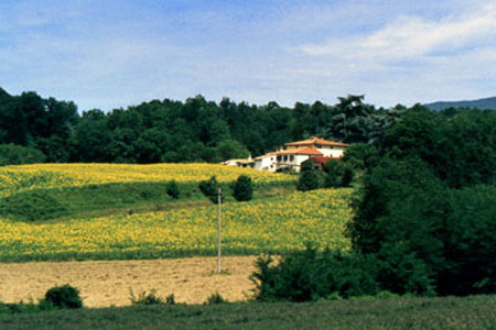 La Topaia Mugello Farmhouse near Florence La Topaia Mugello Farmhouse near Florence