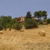 Agriturismo Il Colombaiolo near Pienza