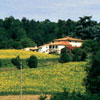 La Topaia Mugello Farmhouse near Florence